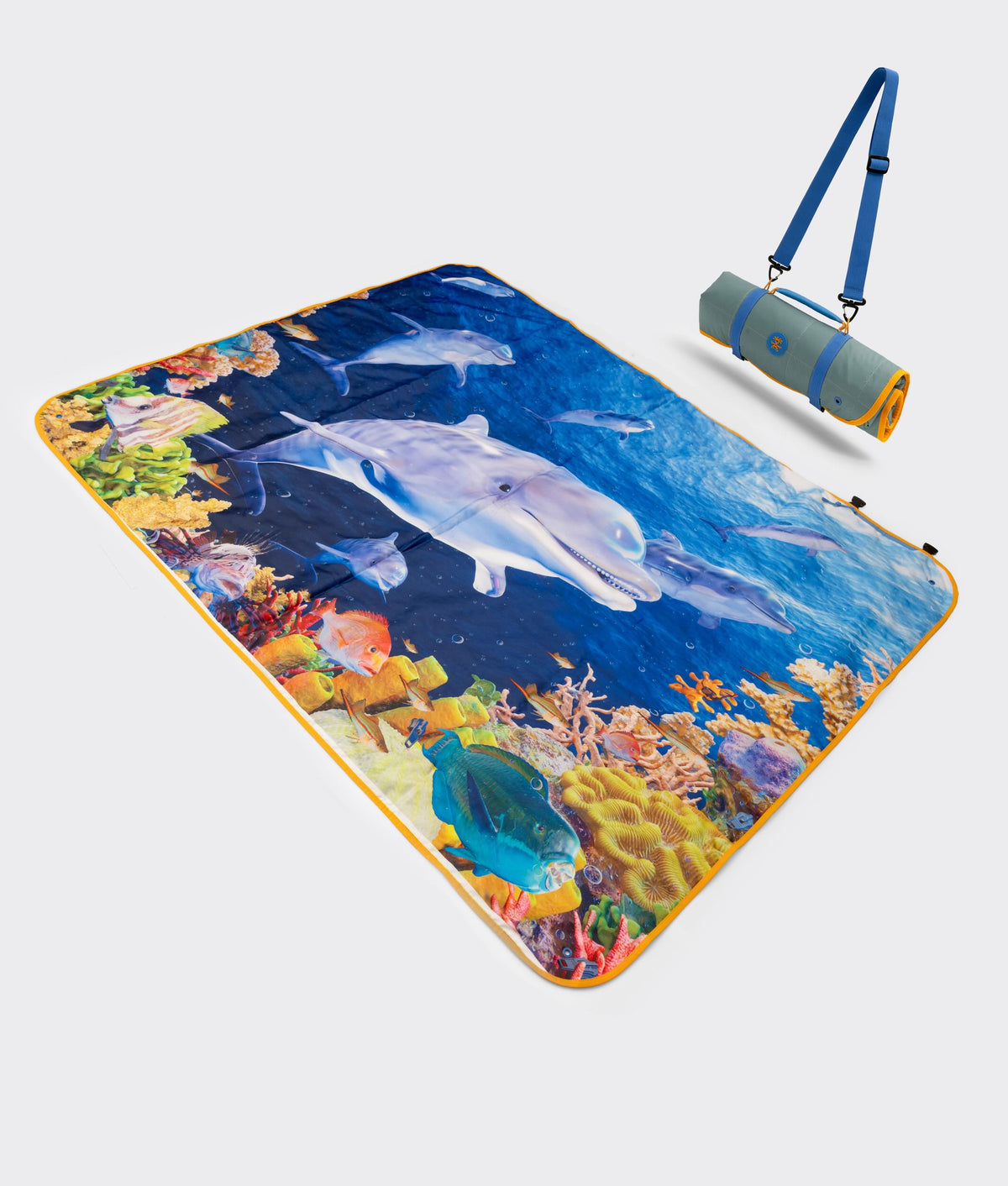 | Colour: Dolphin