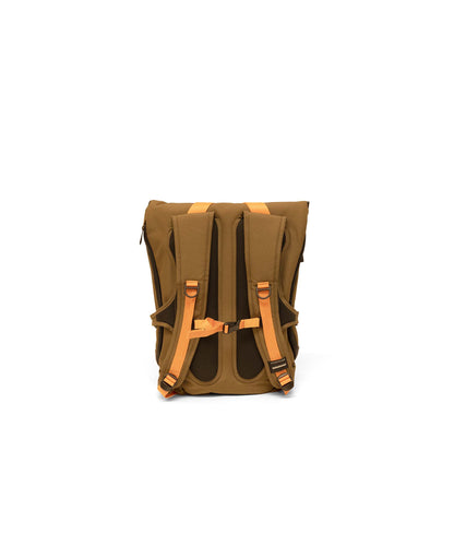 | Colour: Beech